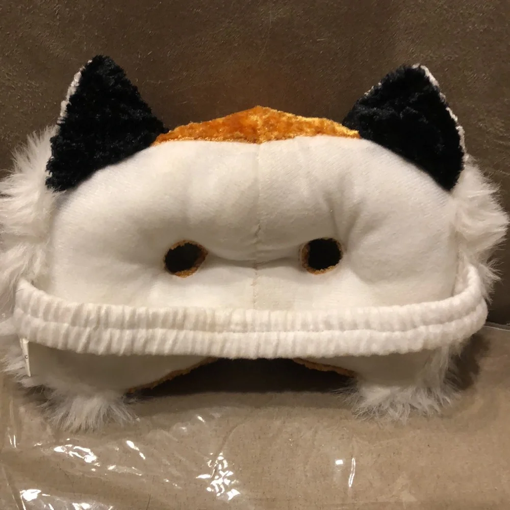 N/A adorable kitty