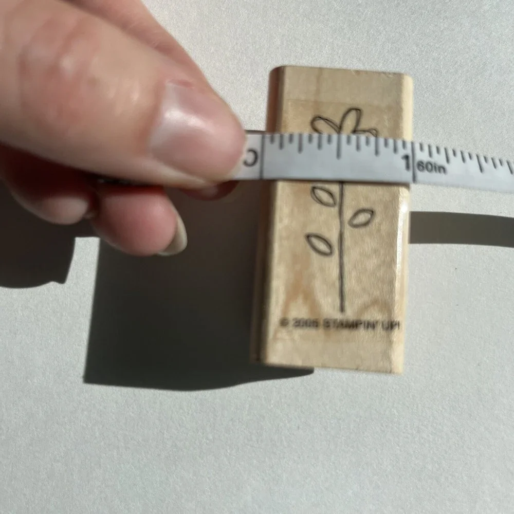 Stampin Up! stampin up