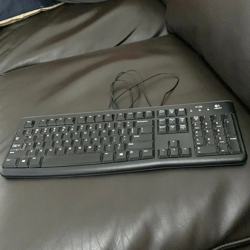 Logitech K120 keyboard.