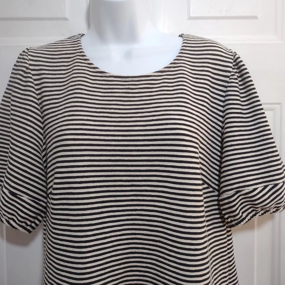 Anthropologie dolan top