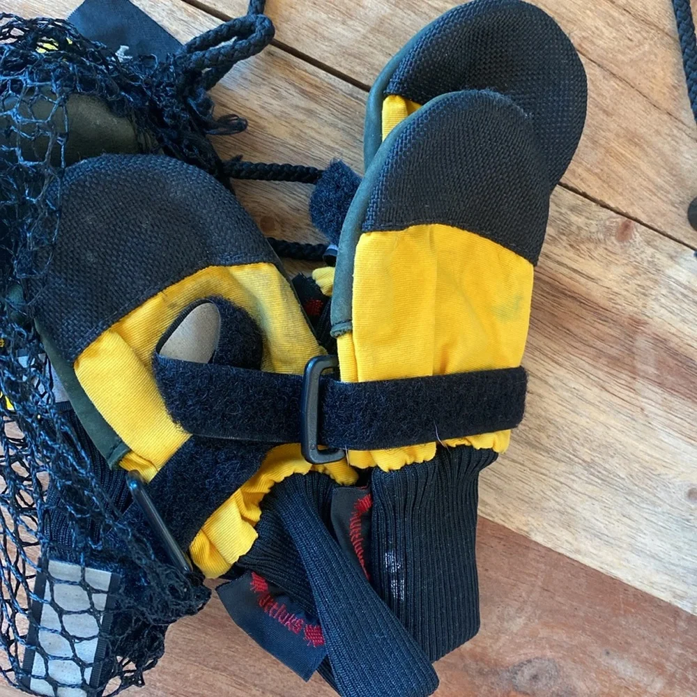 dog booties