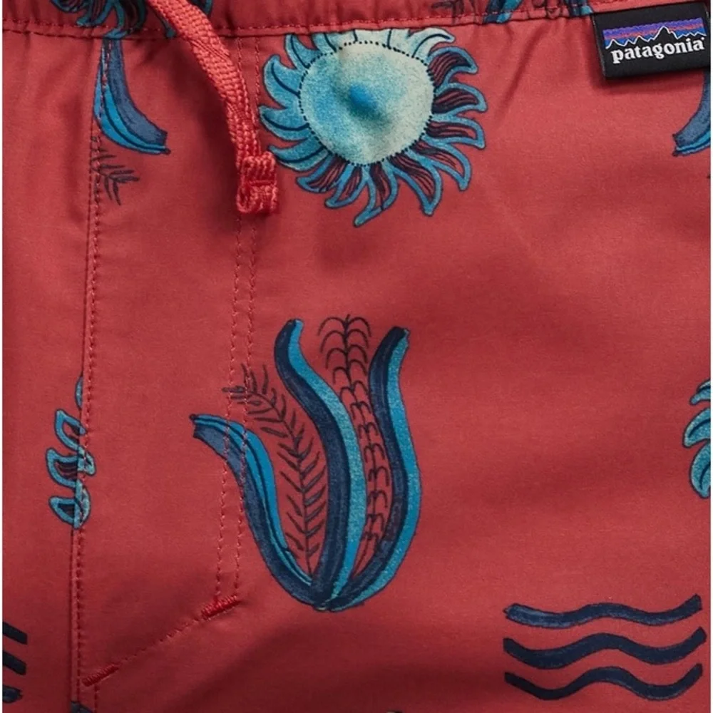 Patagonia no flaws