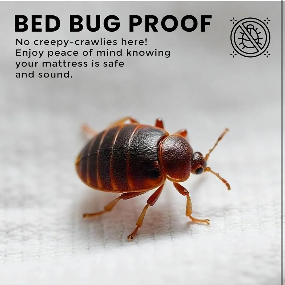 King Size Waterproof Mattress Encasement Protector