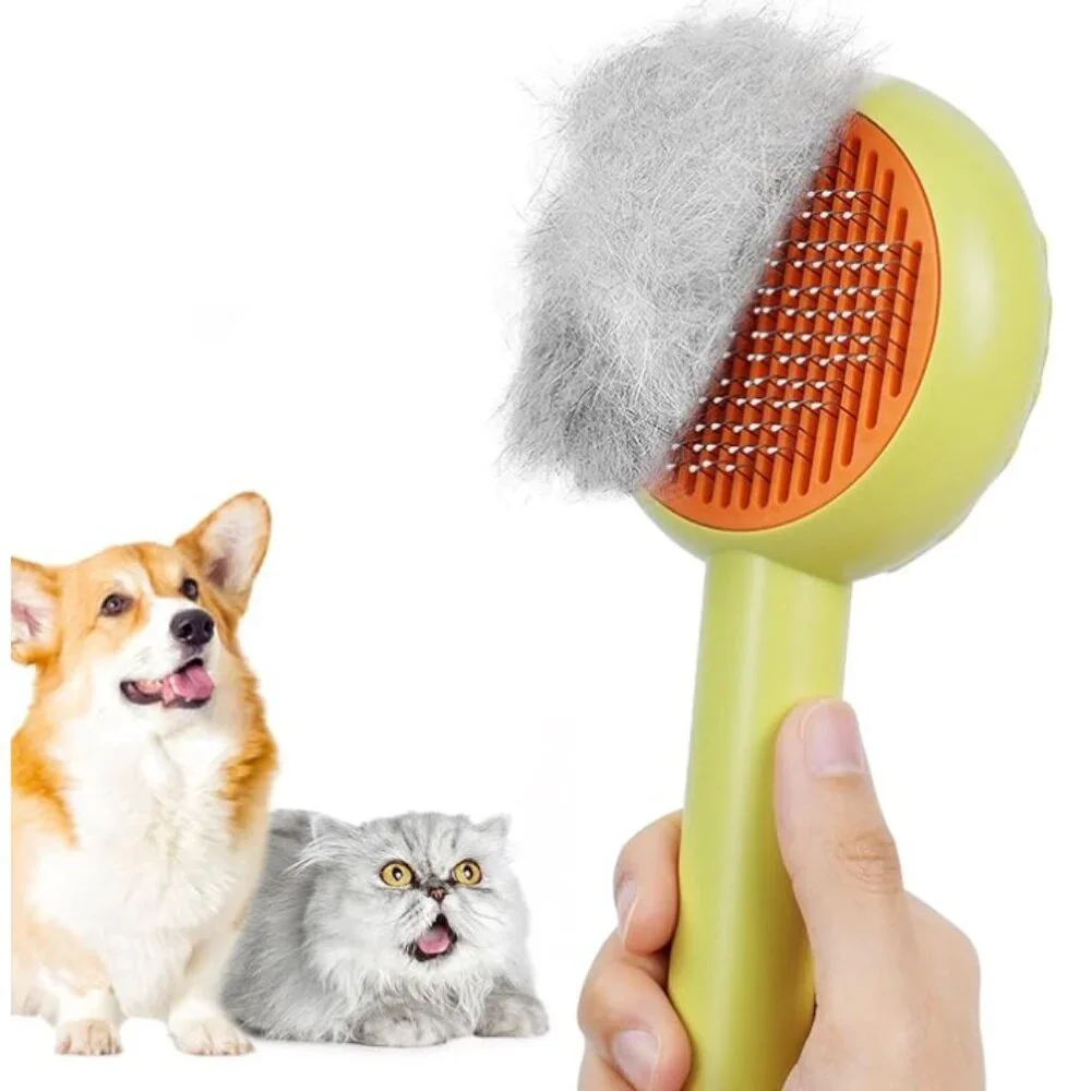 N/A hicc groom