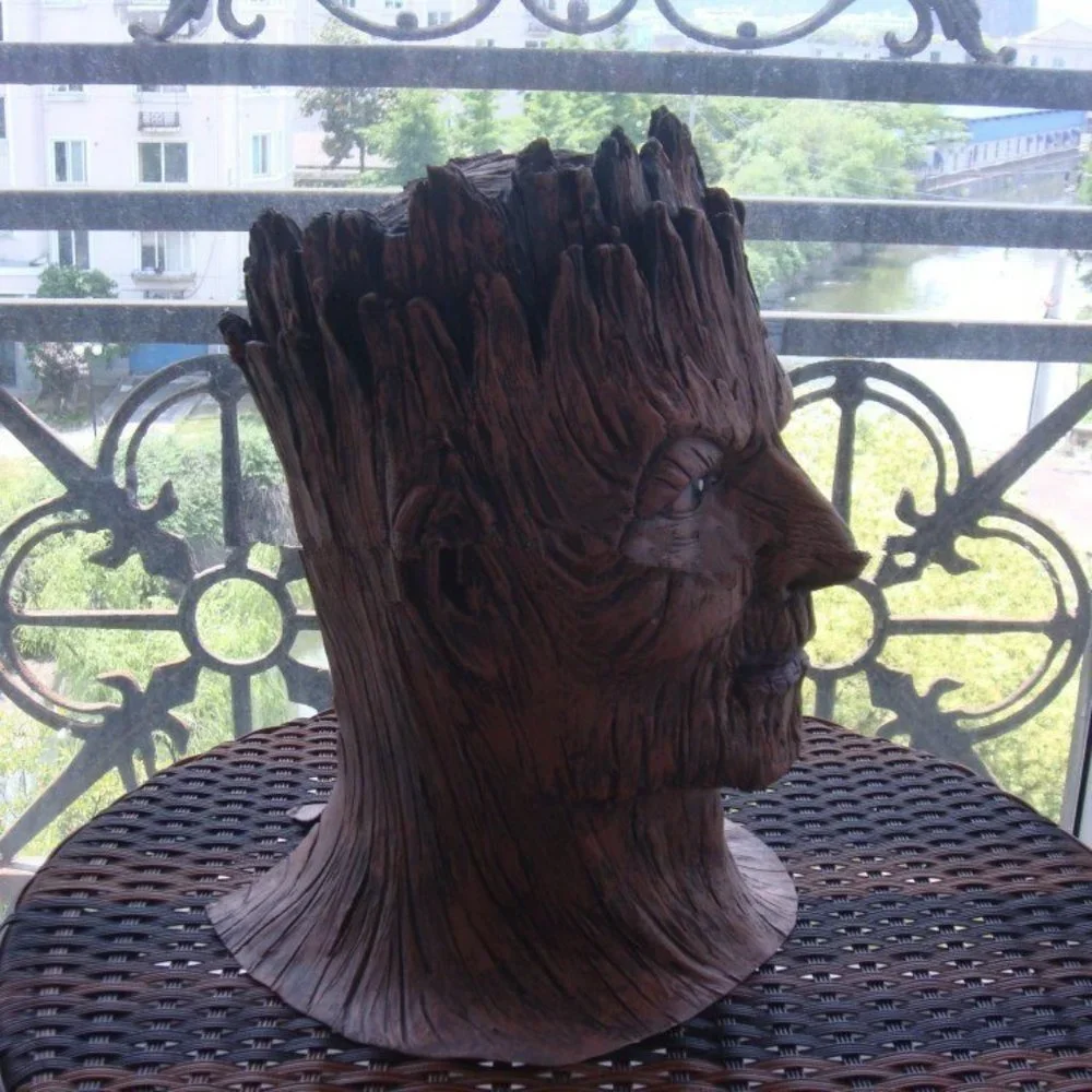 Diona J diona groot