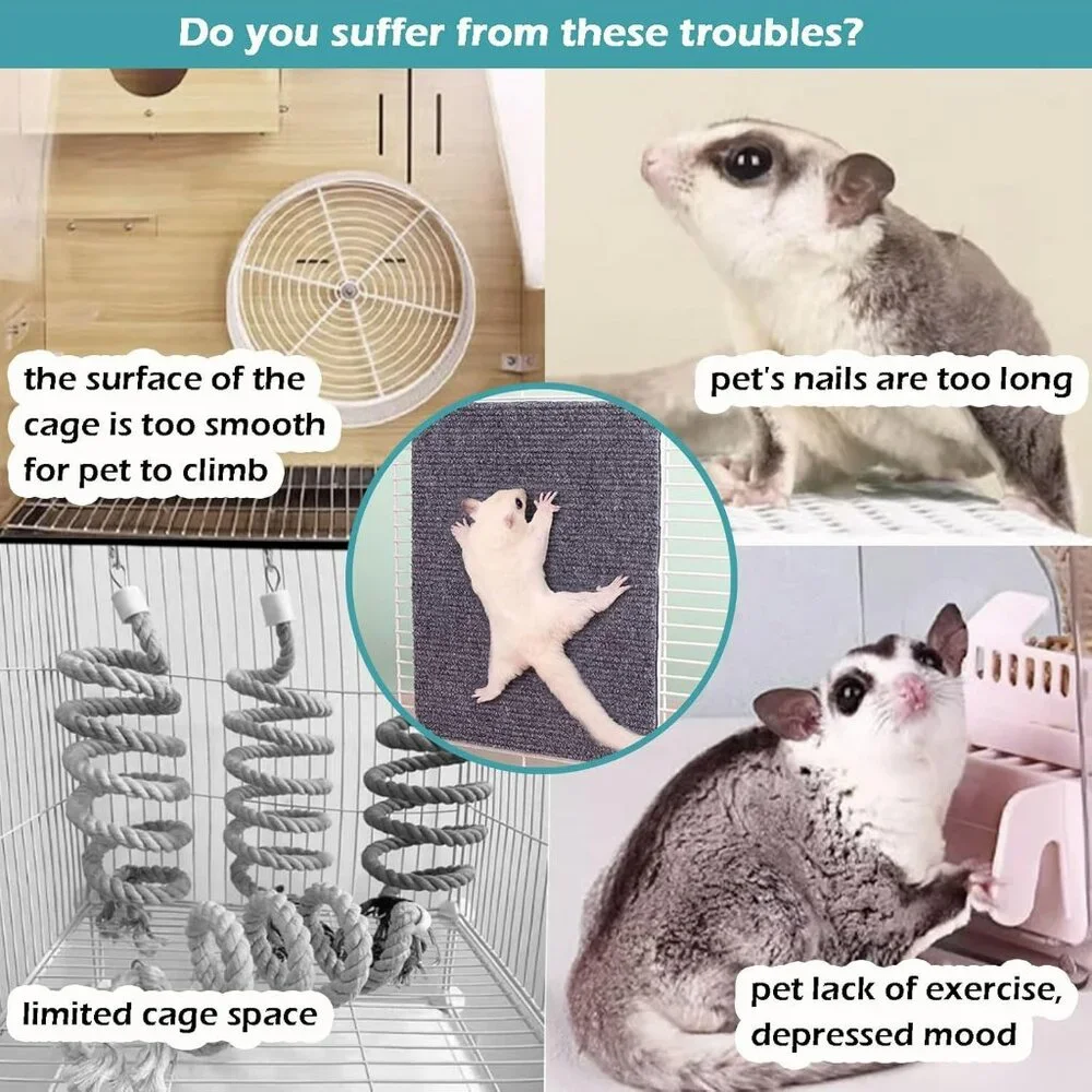 N/A sugar glider