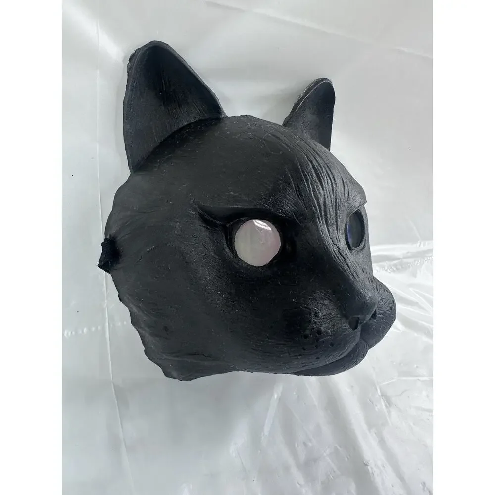 CAT black halloween