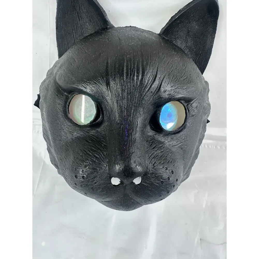 CAT black halloween