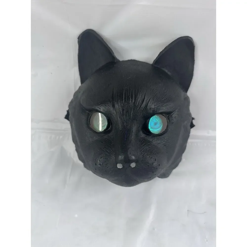 CAT black halloween