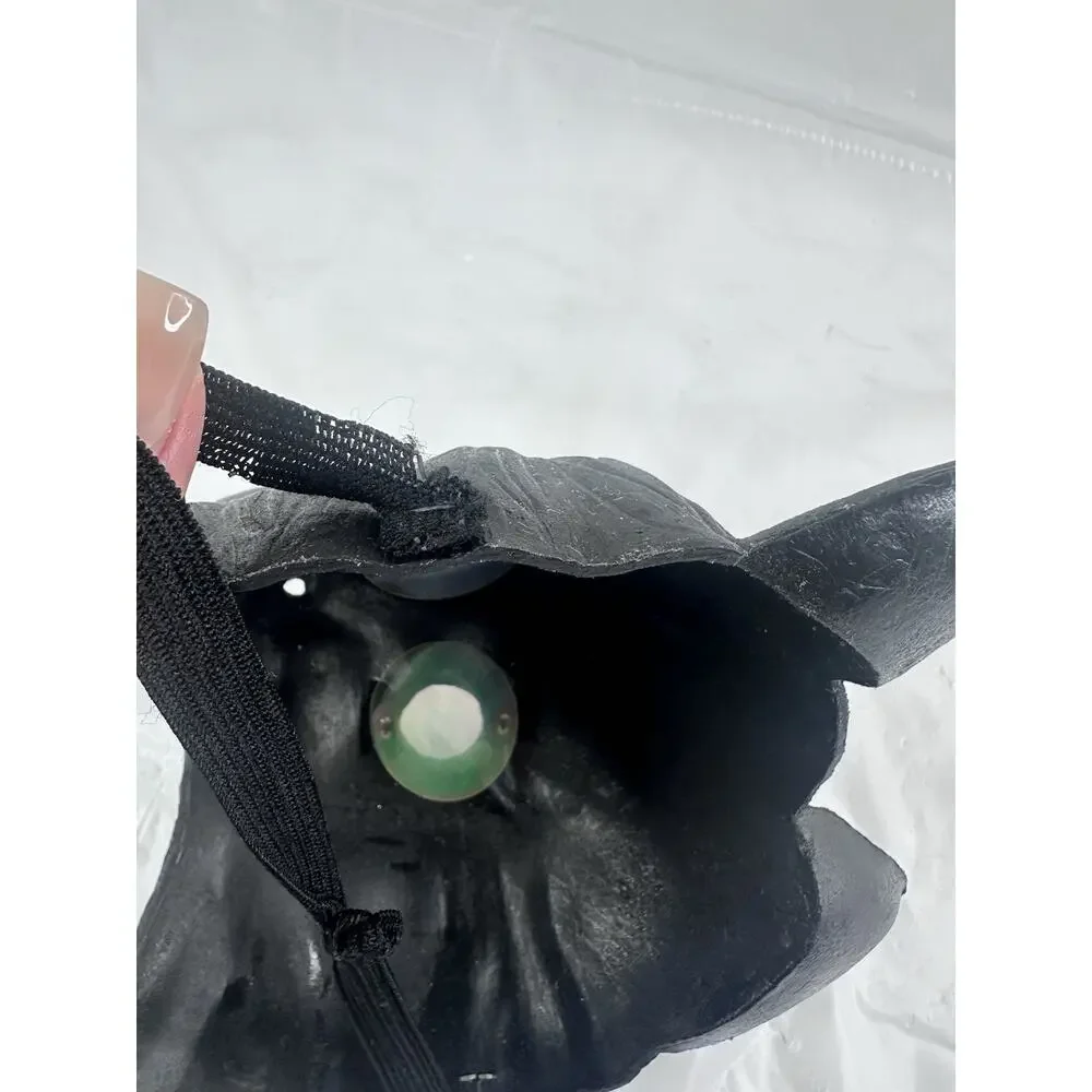 CAT black halloween