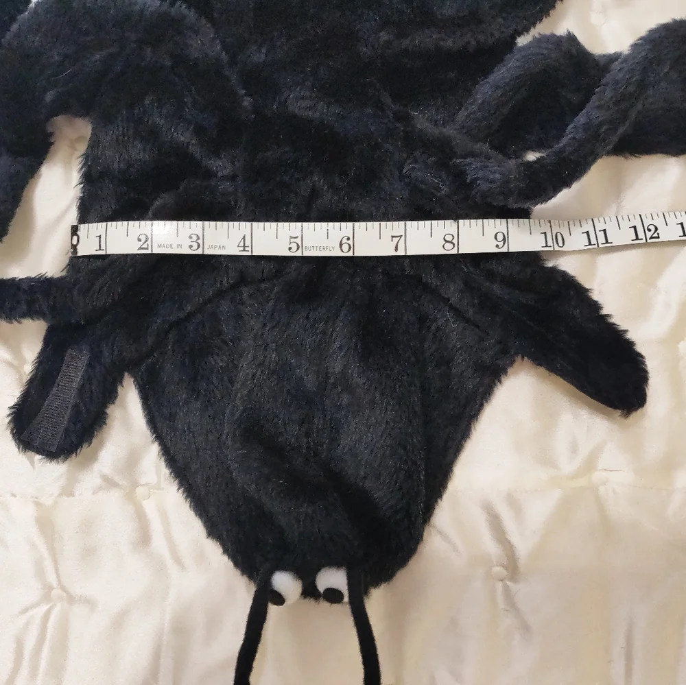 unknown your kitty