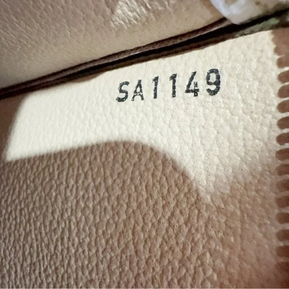 Louis Vuitton authentic louis
