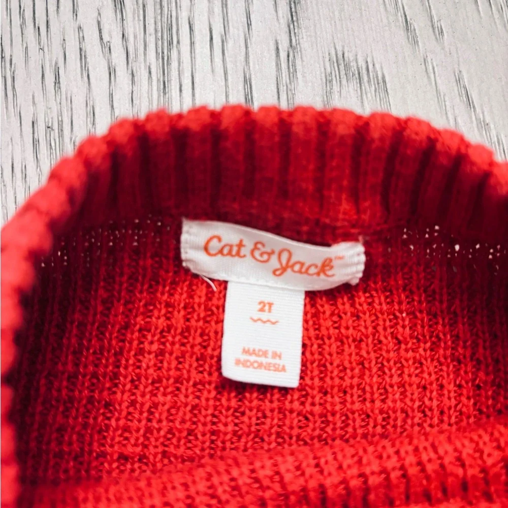 Cat & Jack Toddler Boy’s Colorblock Sweater Size 2T