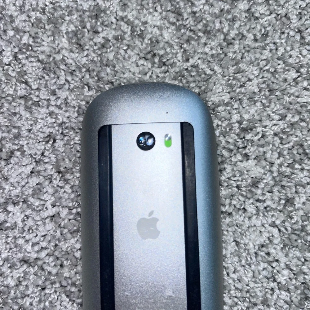 Apple Sleek Silver Mouse
