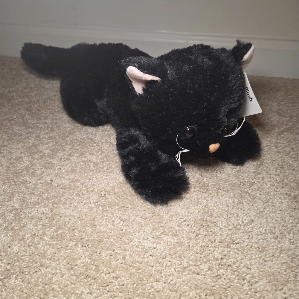 Plush Black Cat Toy