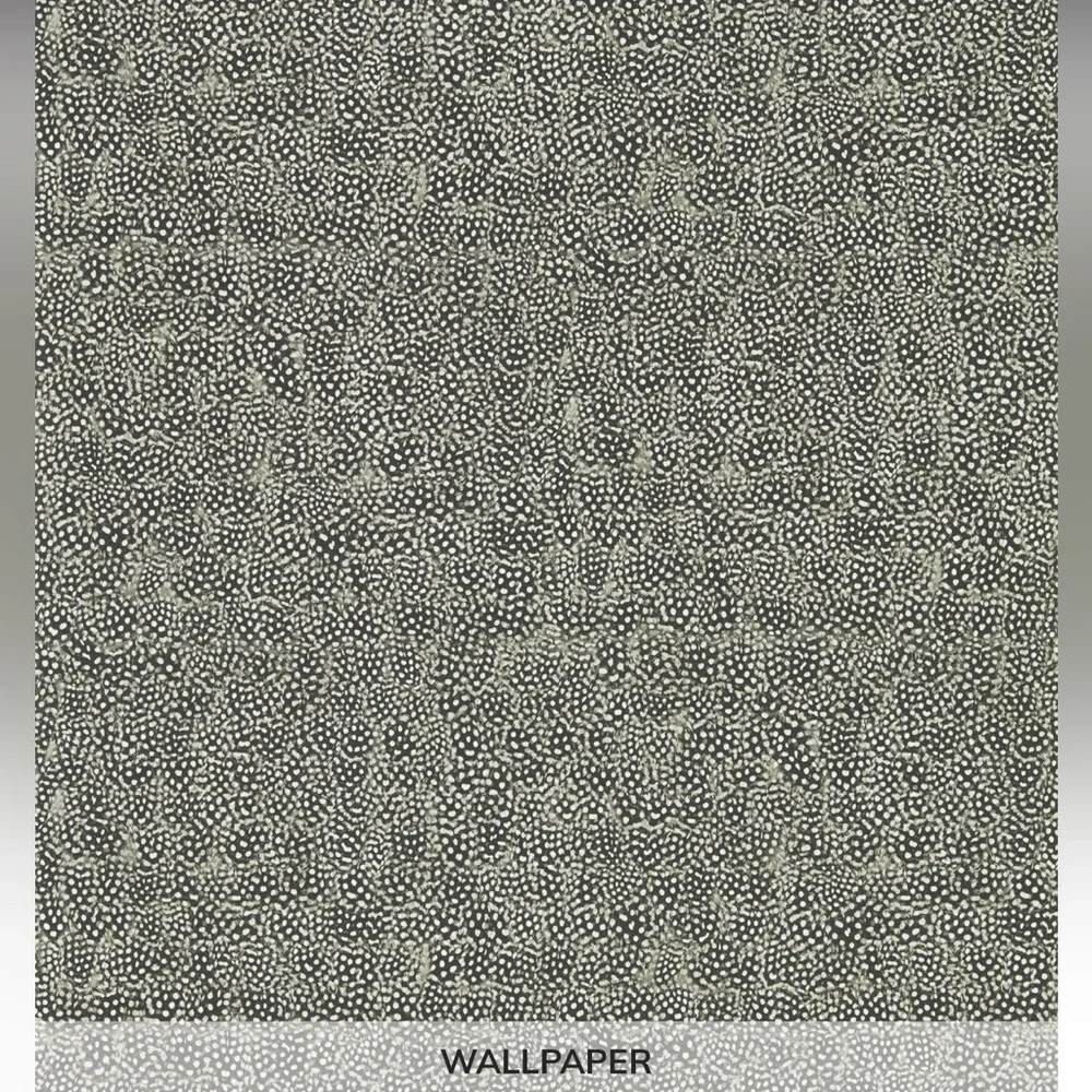 Zoffany new package