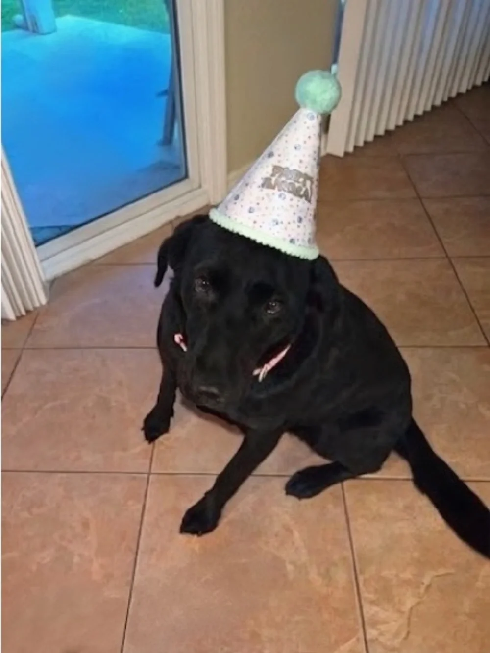 N/A party hard
