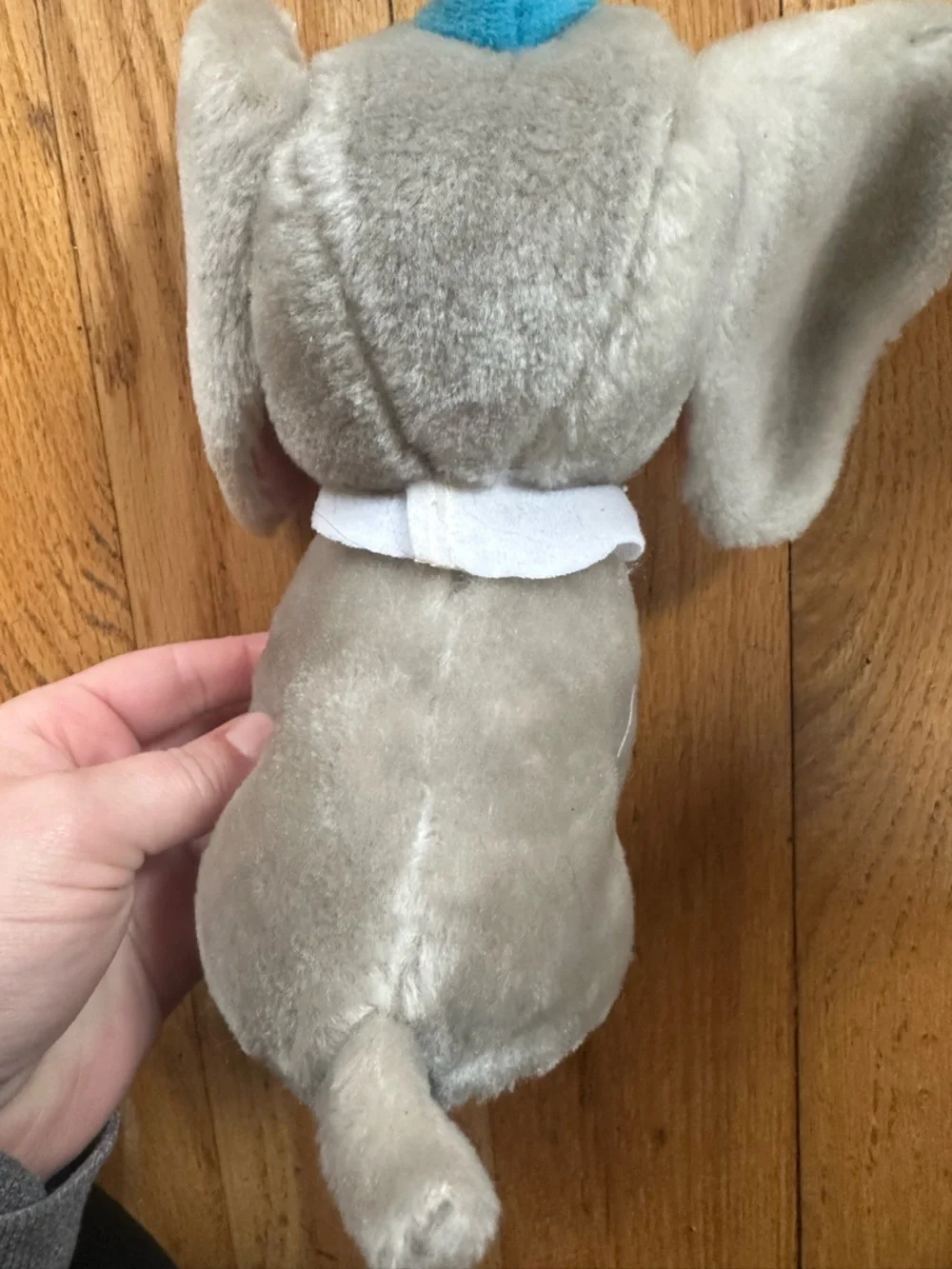 Disney these measure