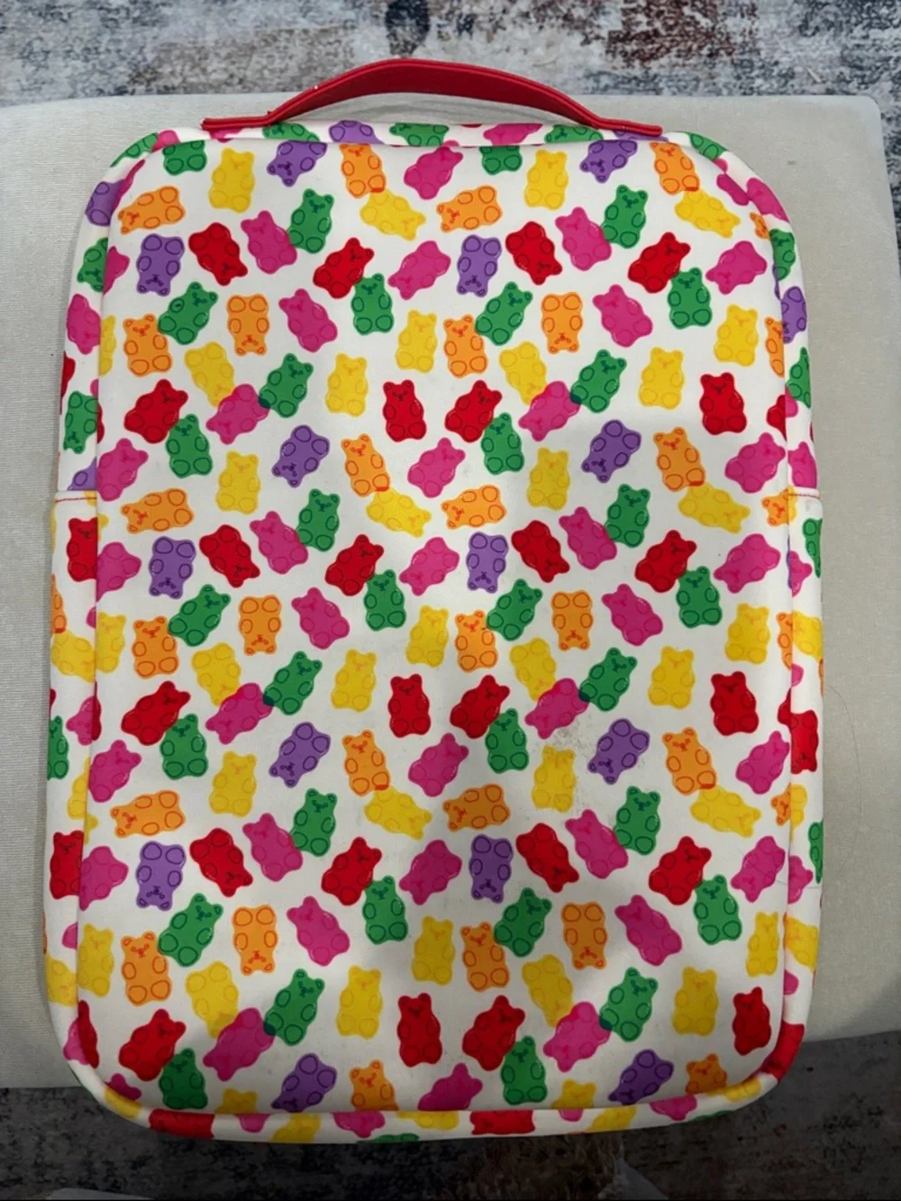 Apple padded laptop