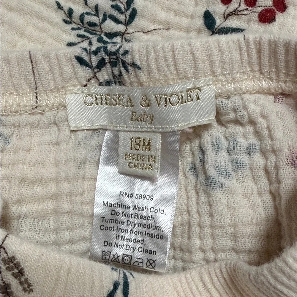 Chelsea & Violet Cream and Floral Baby Dress Set 18 month