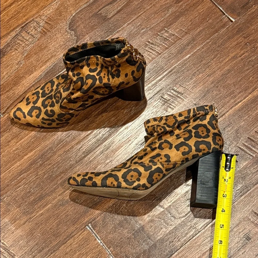 bold animal