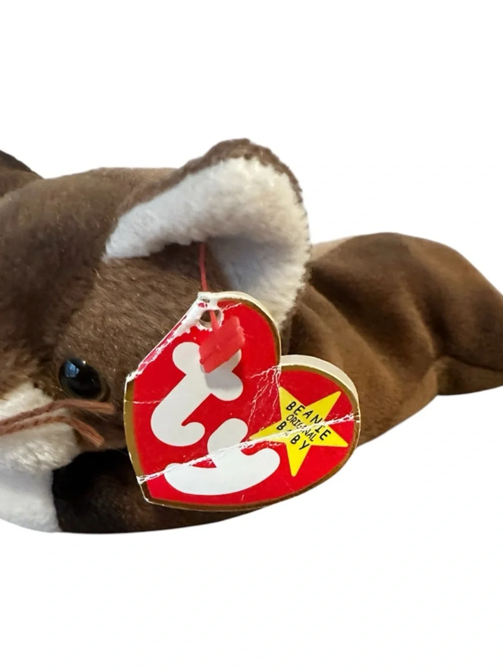 Ty soft plush