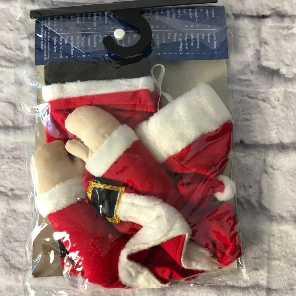 hocus pocus perfect “santa