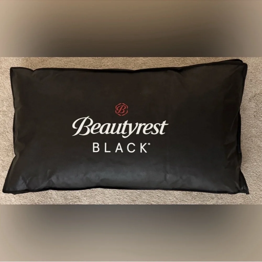 🎉LAST CHANCE🎉2PC BEAUTYREST BLACK Luxurious Down And Feather‎ Blend Pillows