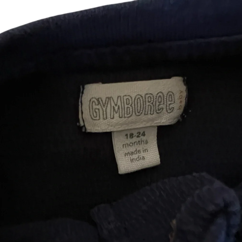 Gymboree chic button