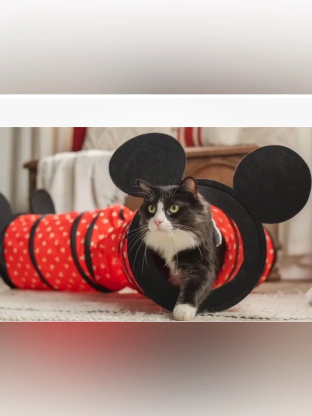 Disney mickey mouse