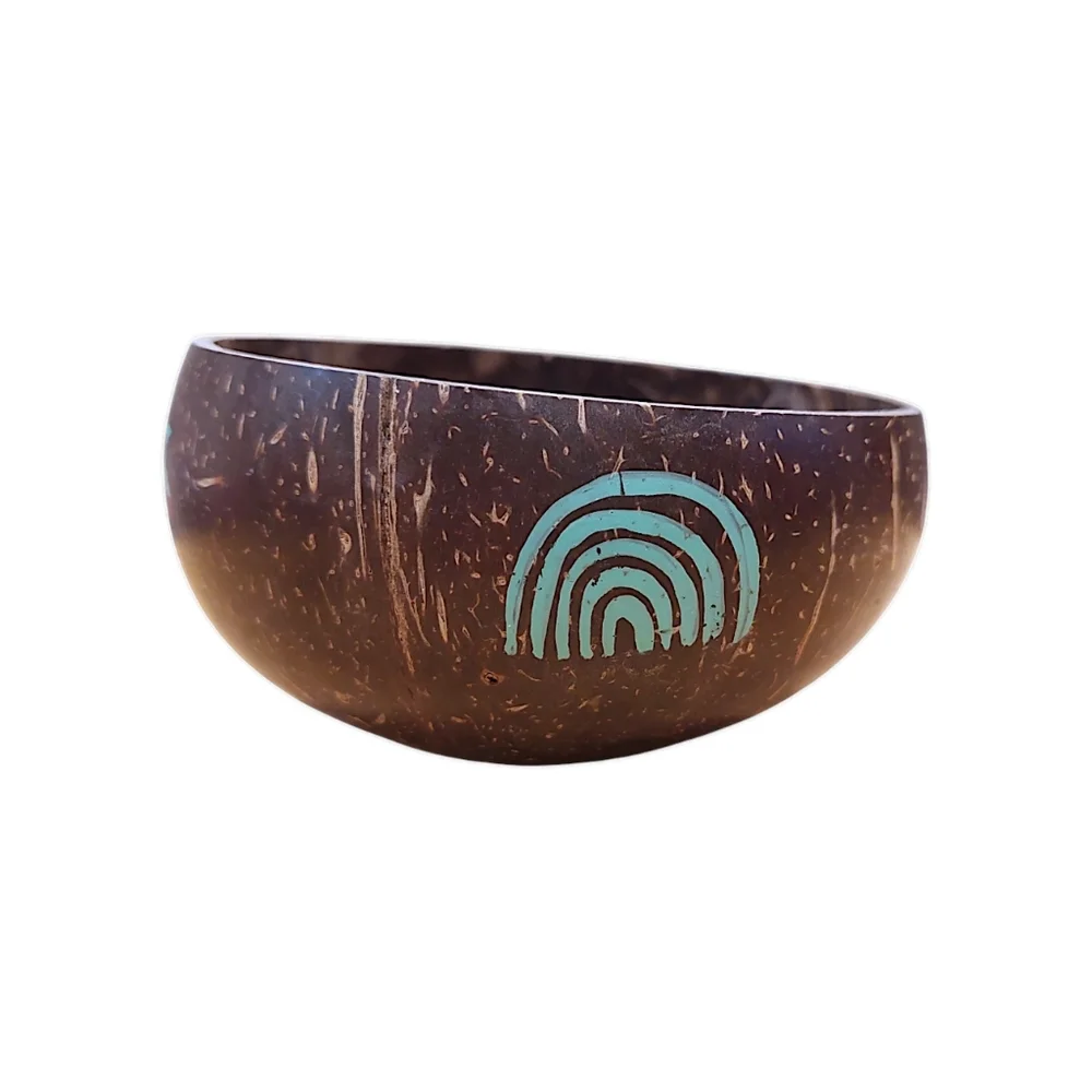 Coconut Bowls this coconut