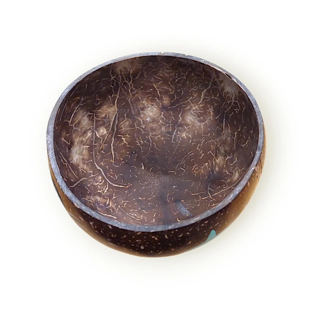 Coconut Bowls this coconut