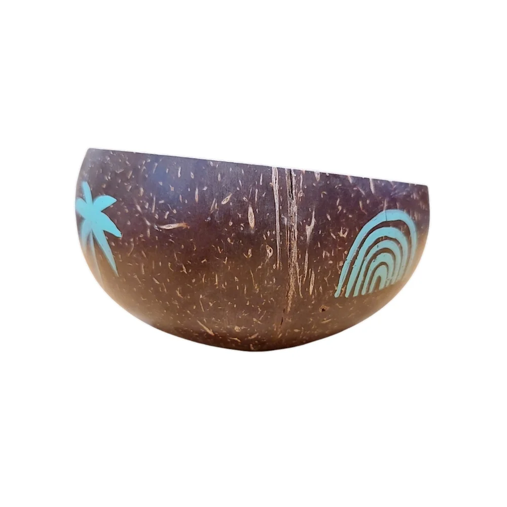 Coconut Bowls this coconut