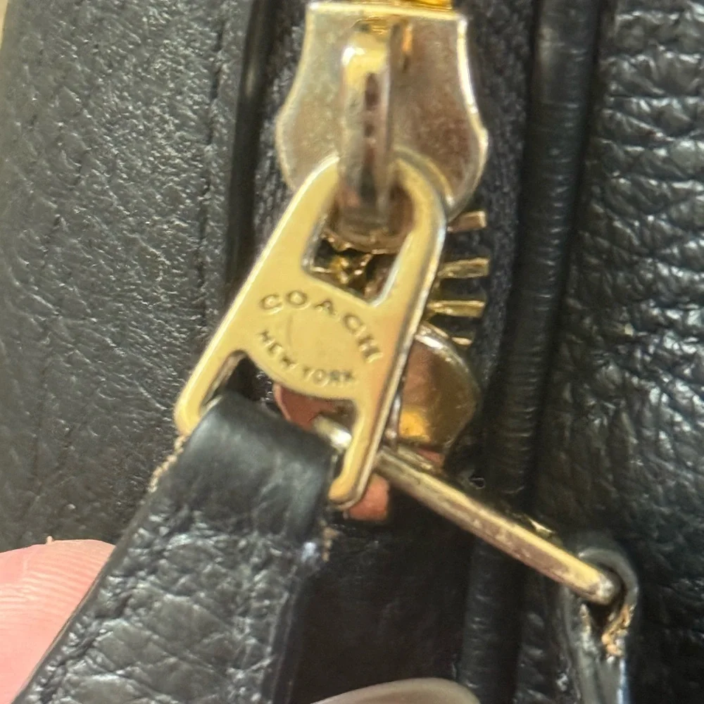 Coach brand color