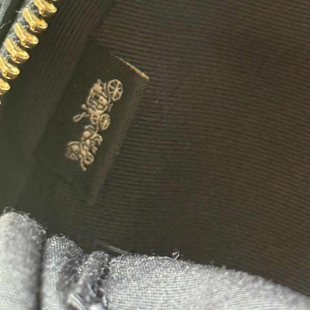 Coach brand color
