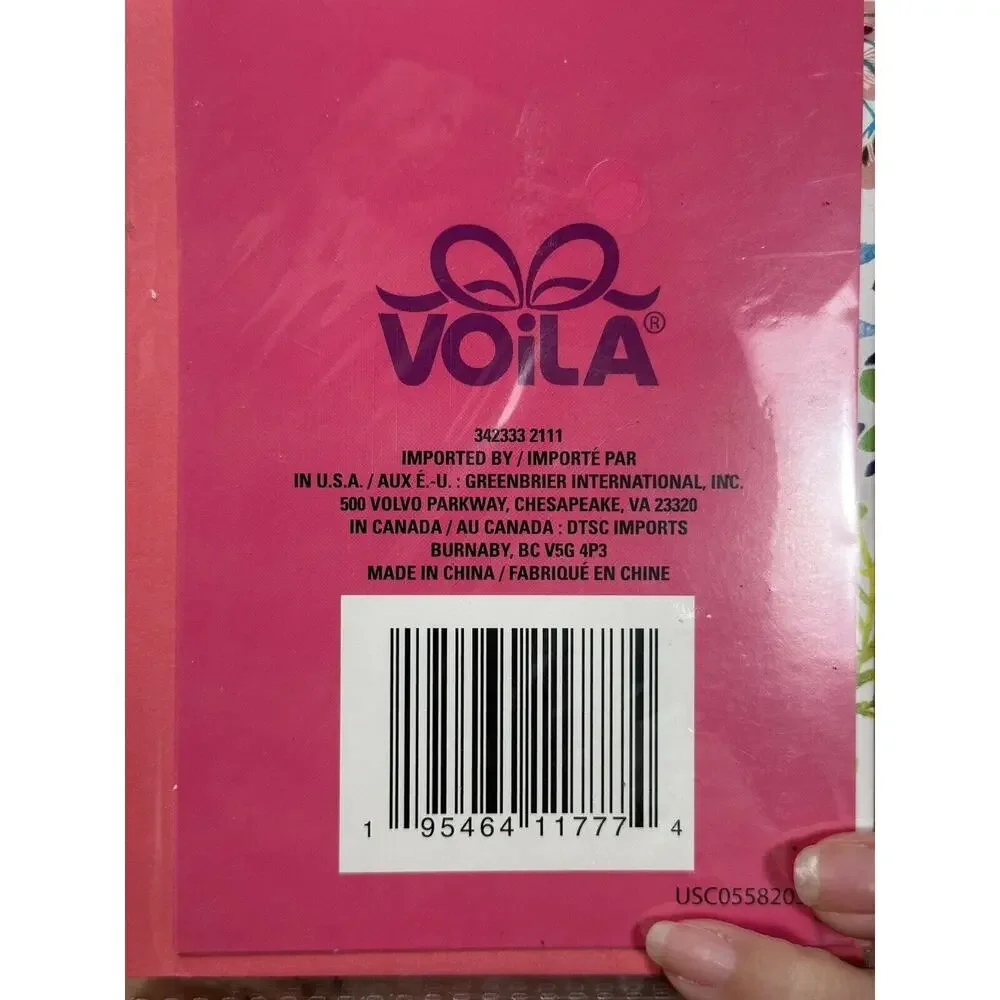 Viola lot 19
