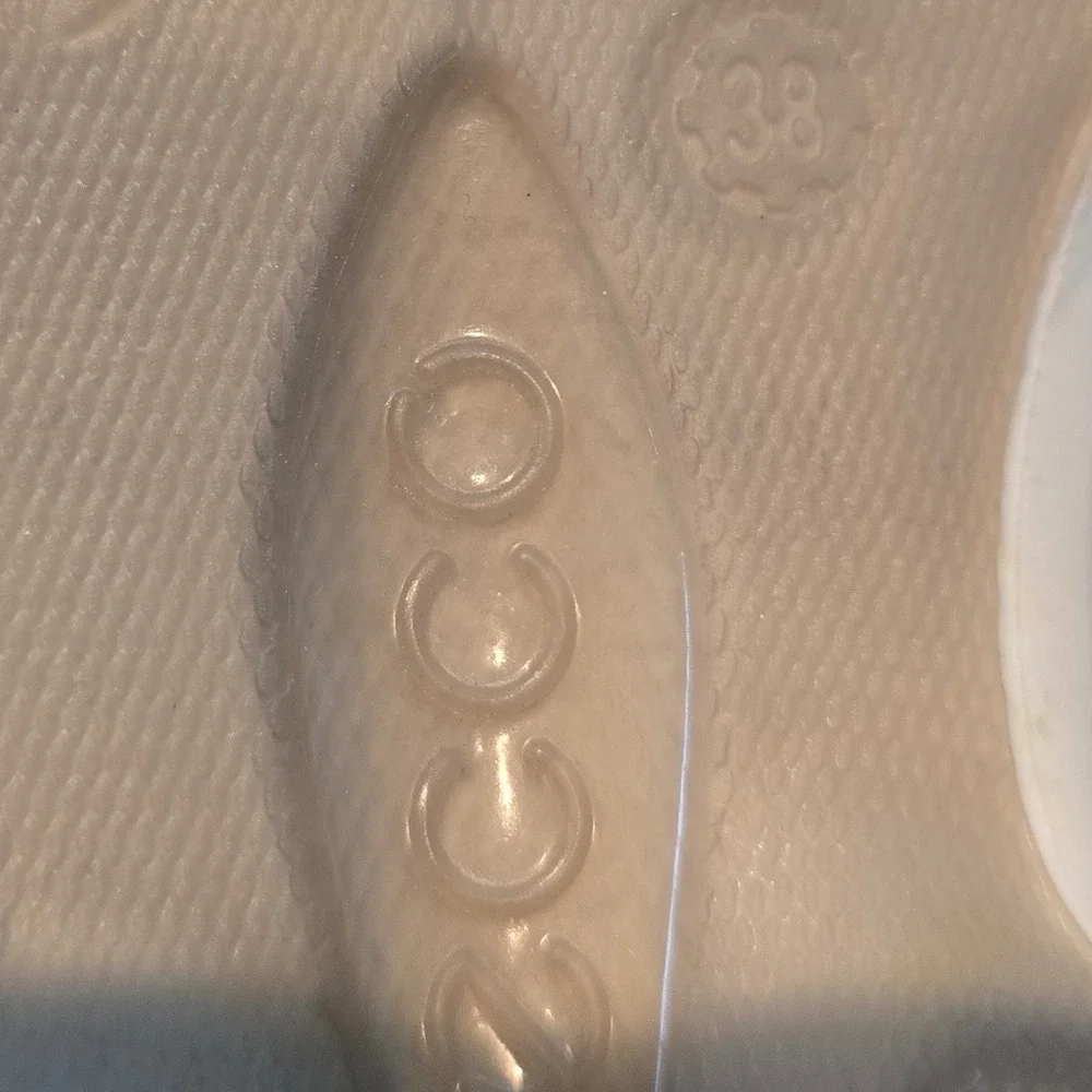 Ecco these biom