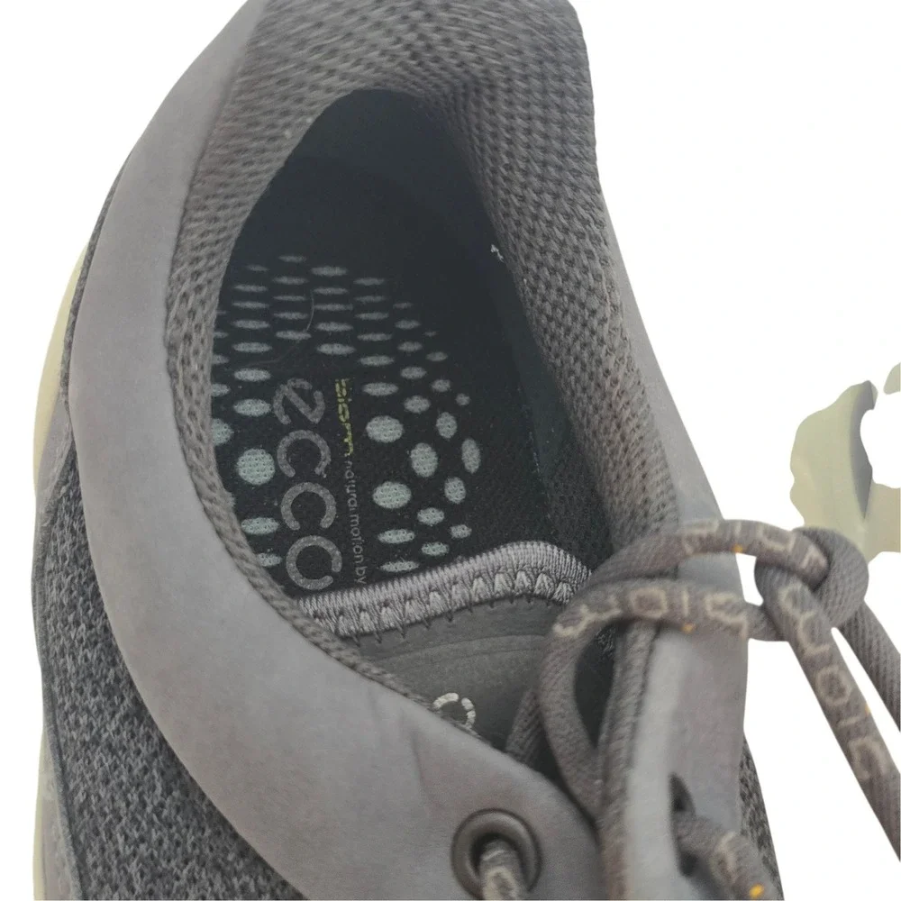 Ecco these biom