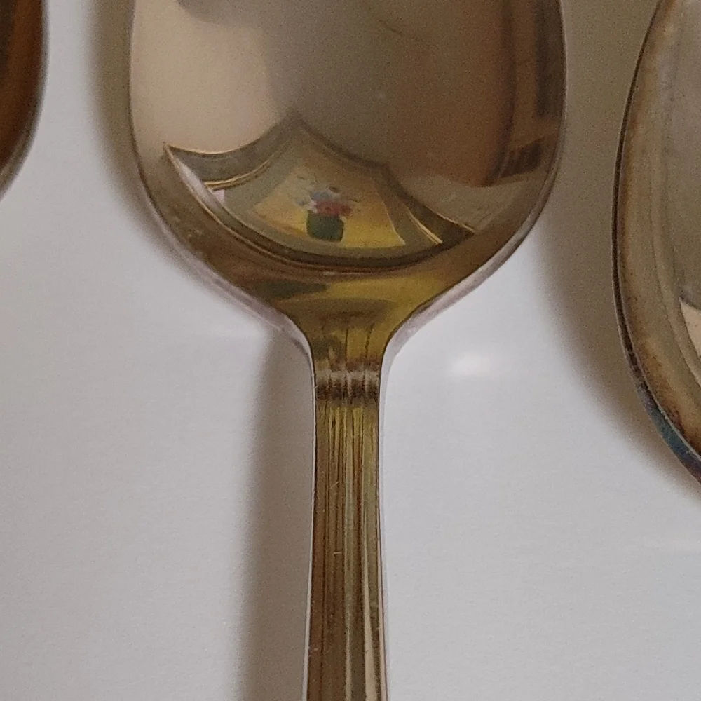 Oneida polished overall plate