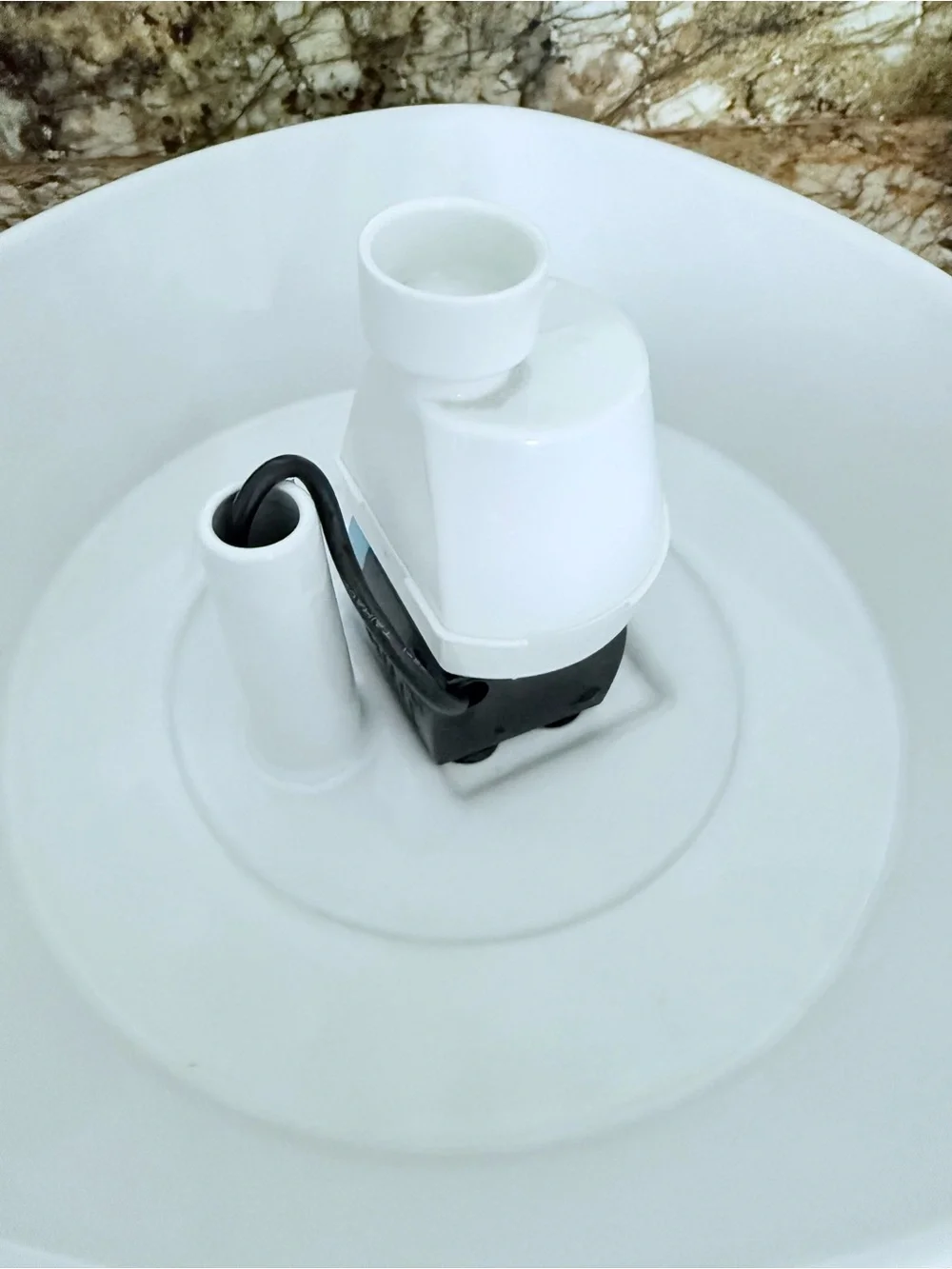 PetSafe ceramic cat