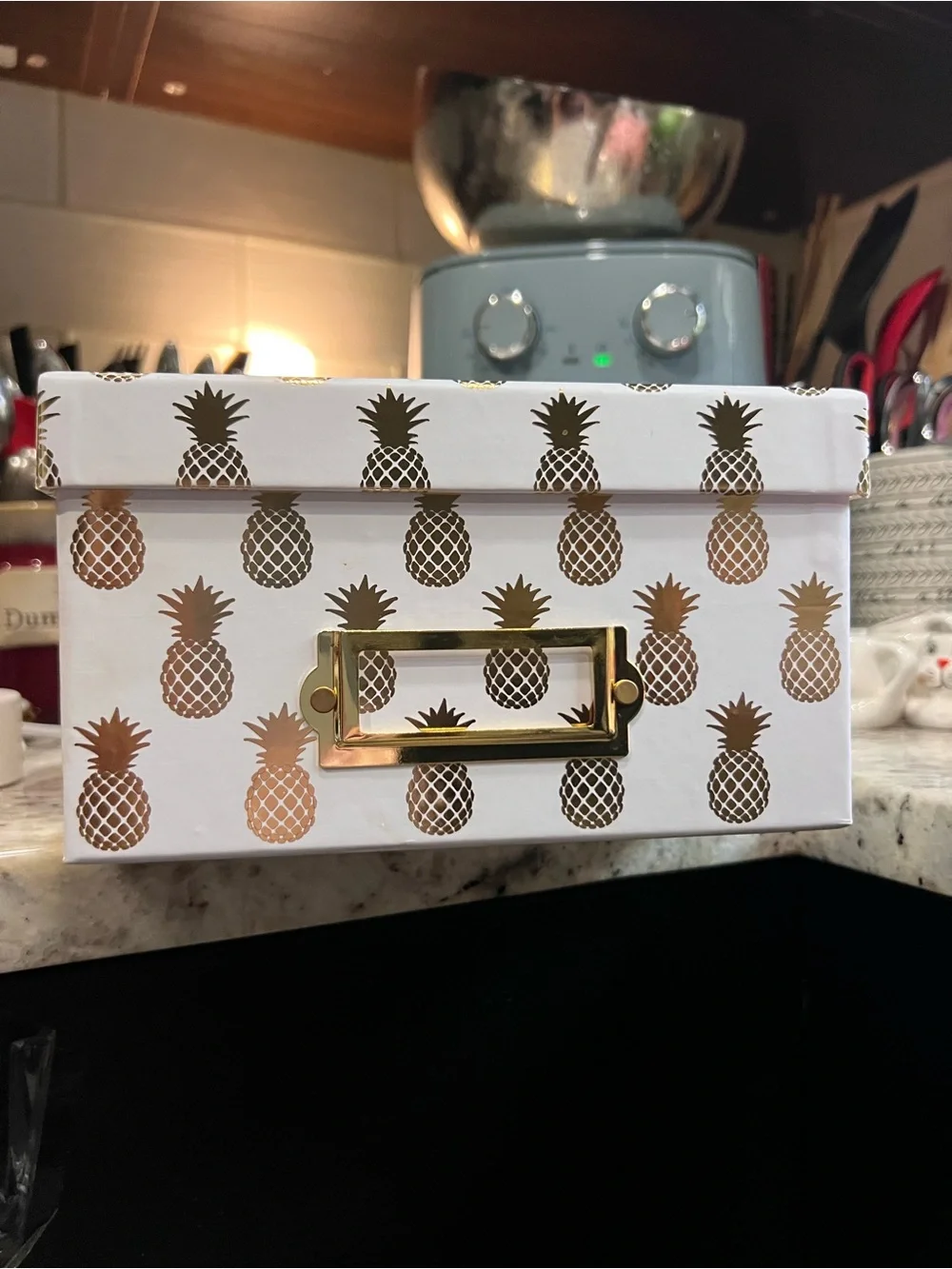 White Storage Box with Gold Pineapple Print EXCELLENT CONDITION