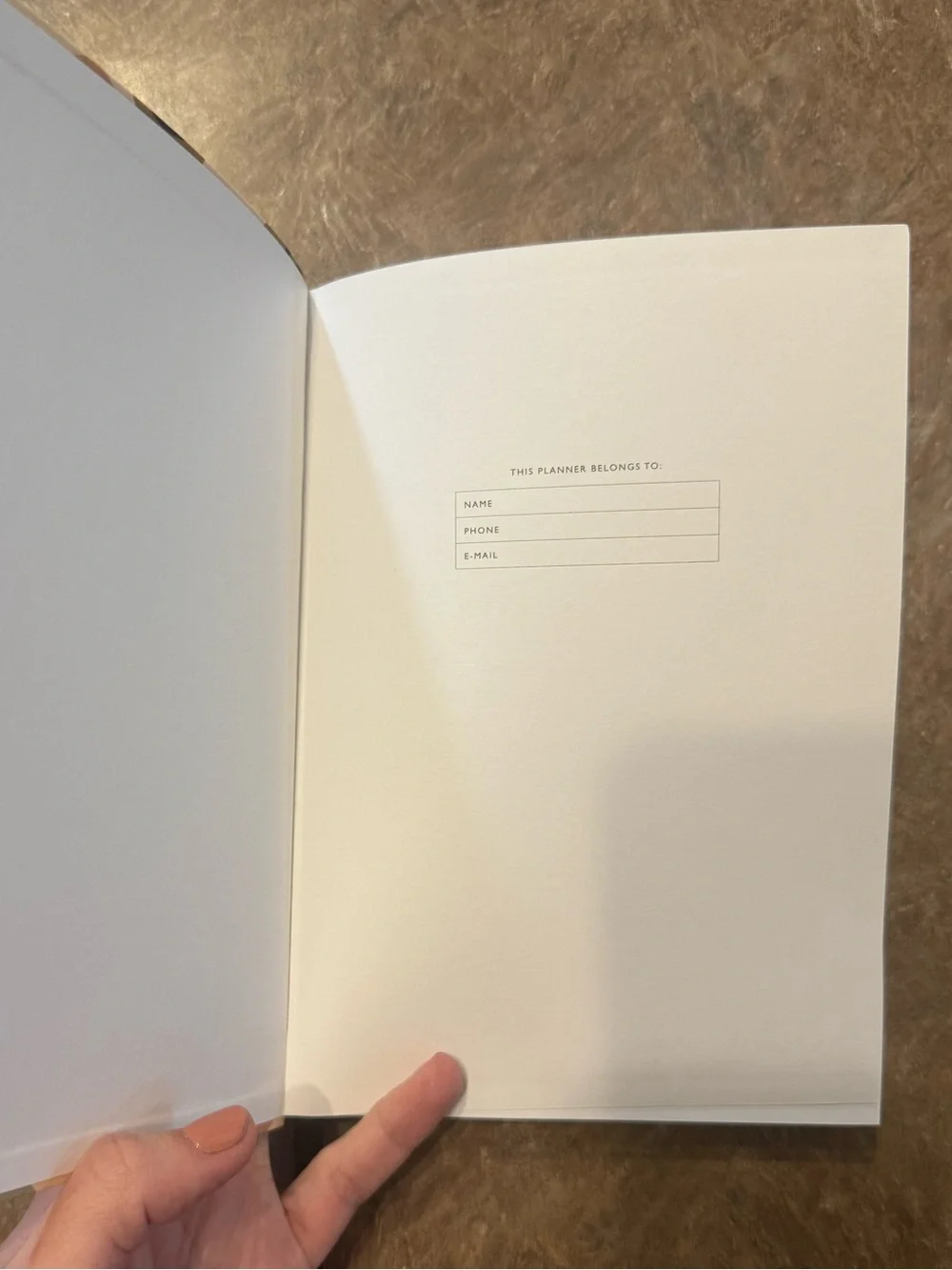 Urban Outfitters daily planner