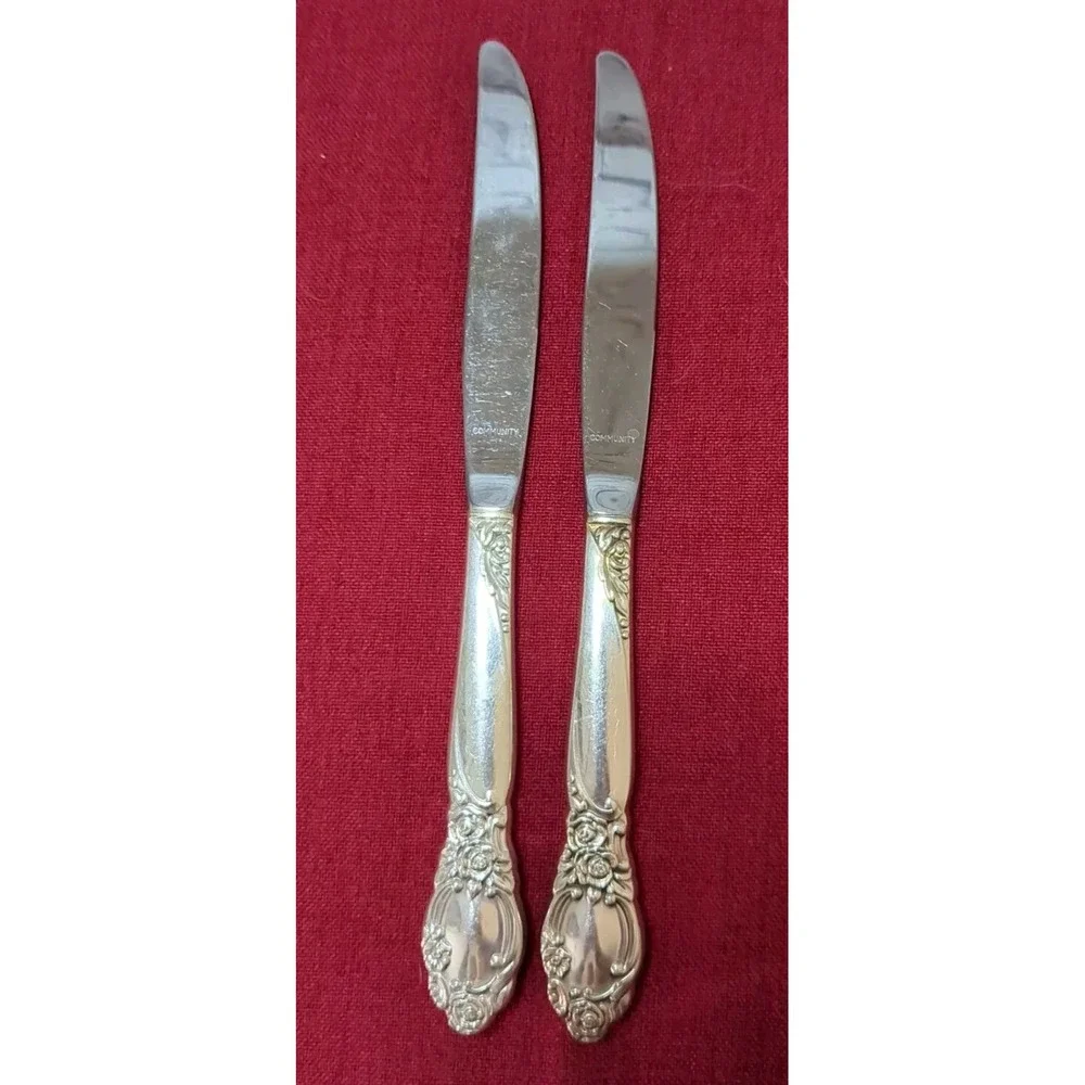 Oneida‎ Community BALLAD/ COUNTRY LANE Dinner Knife 9