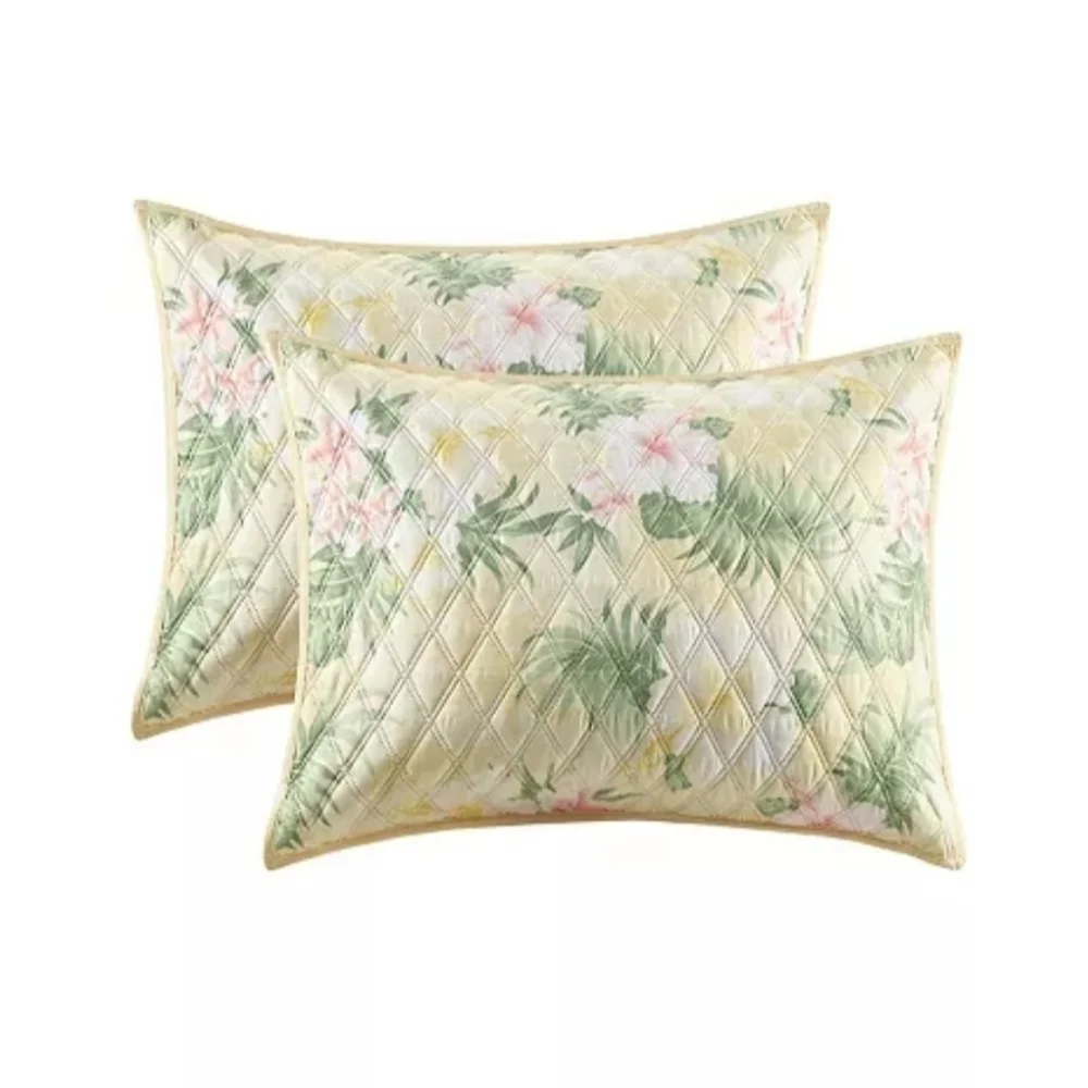 Martha Stewart martha stewart