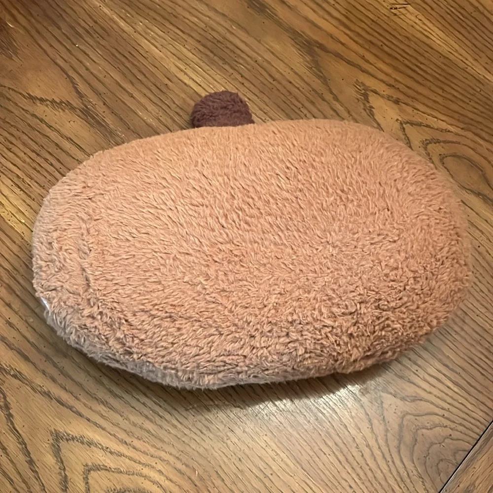 Rachel Ashwell pumpkin‎ pillows, 3 available-1 orange and 2 brown