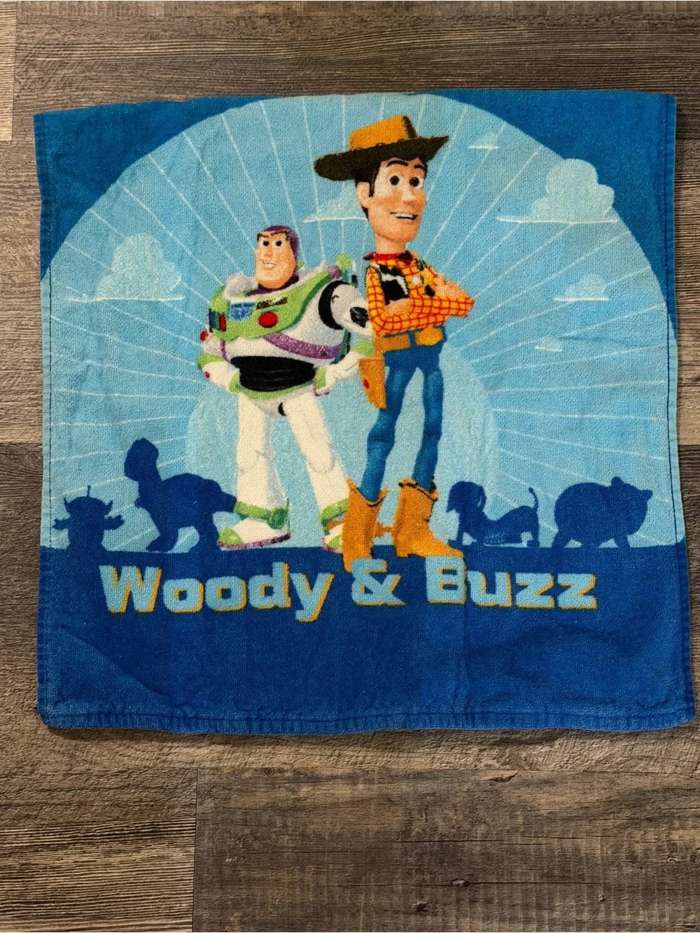 Disney fun pixar