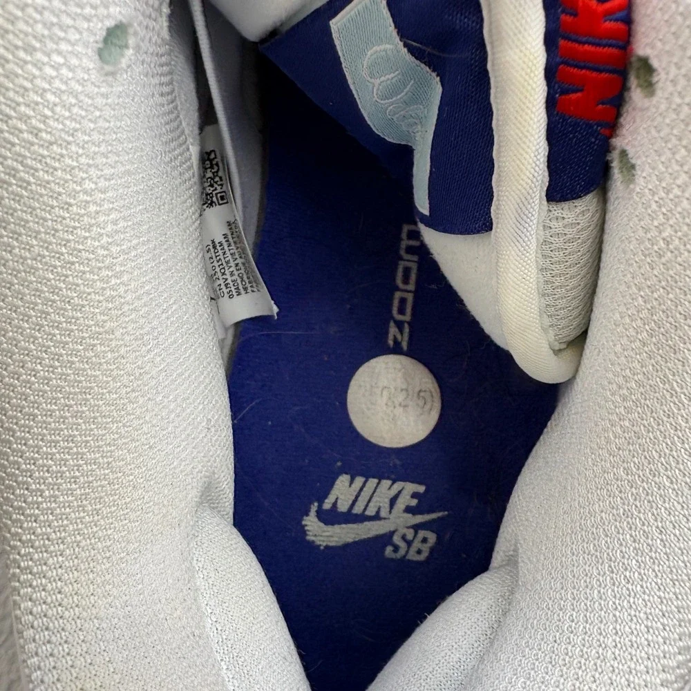 Nike SB suede leather