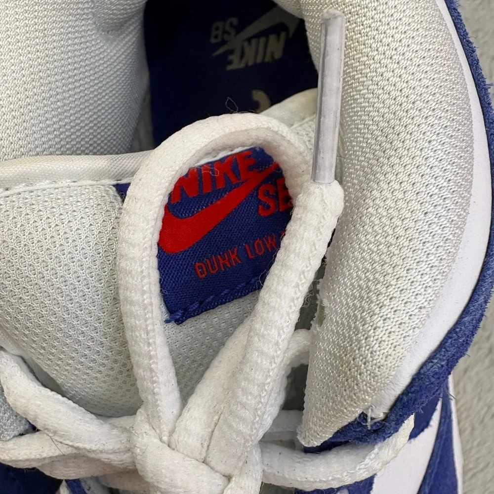 Nike SB suede leather