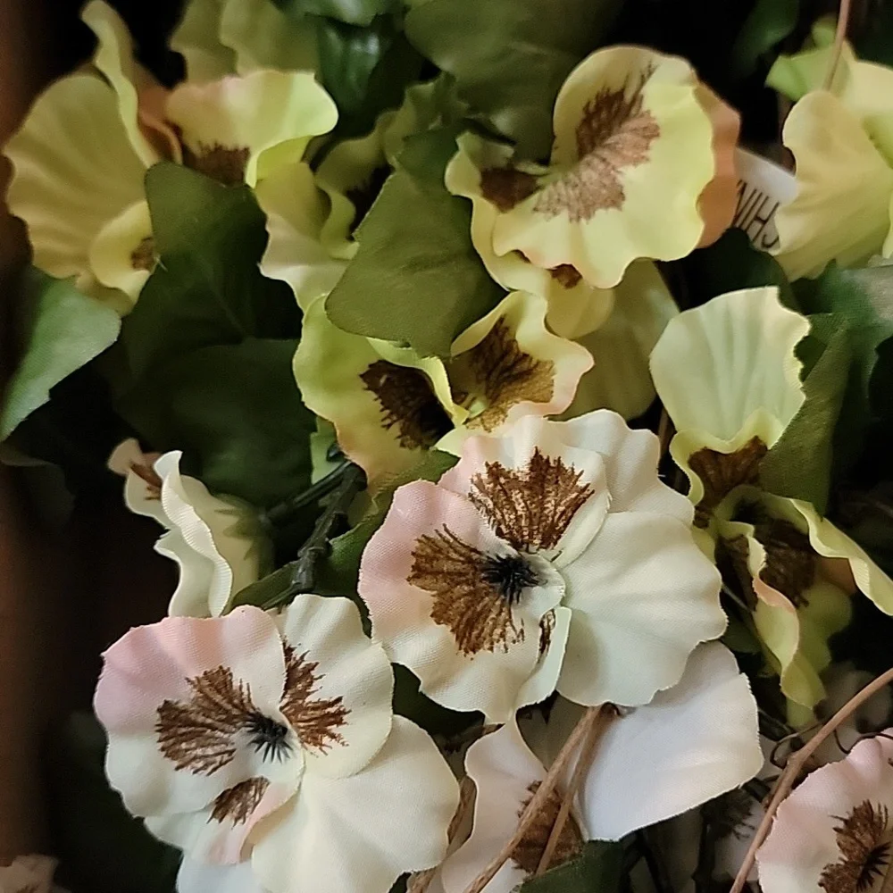 N/A these pansy
