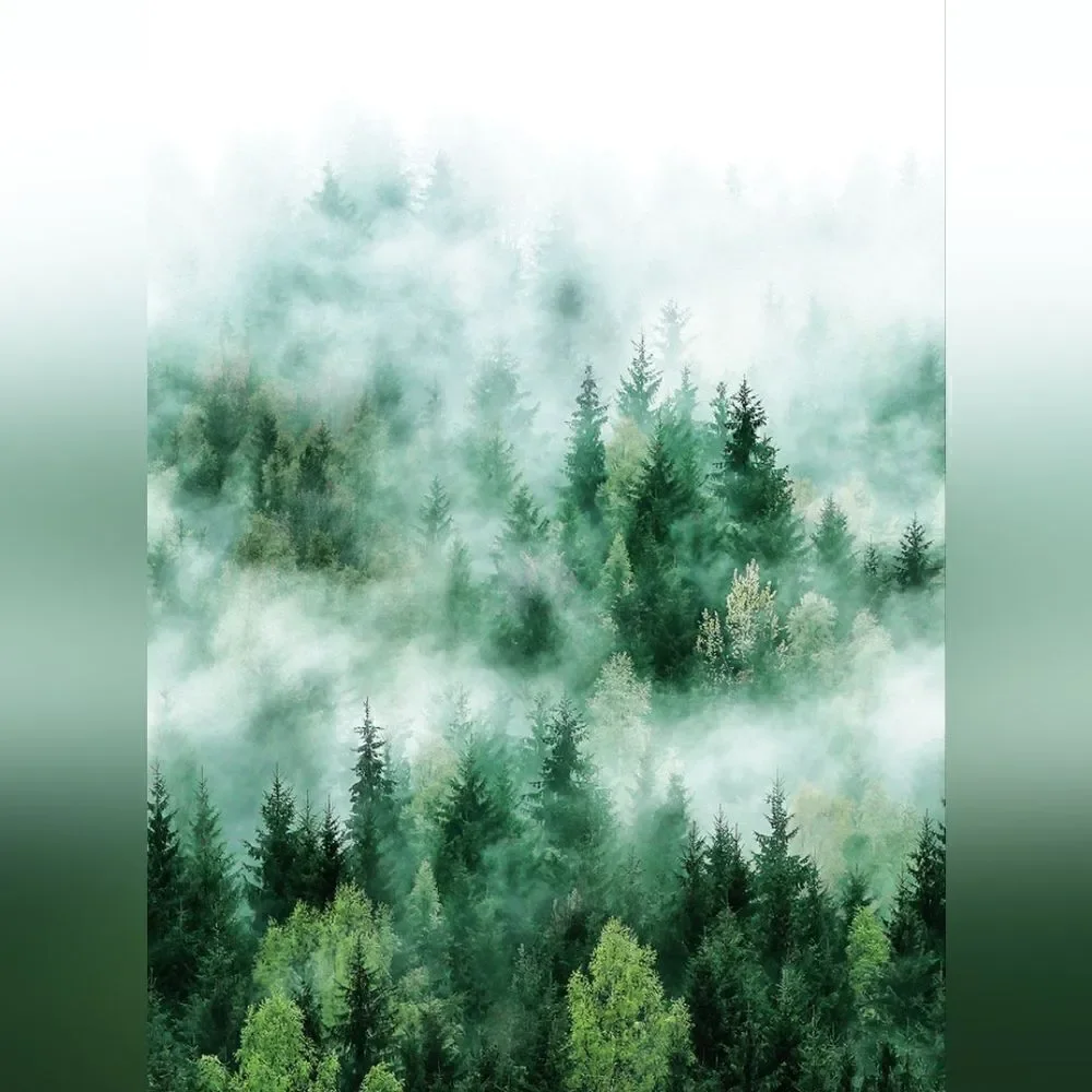 Smart Art Easy - Misty Forest Trees Green Wallpaper 2 Rolls RV $318